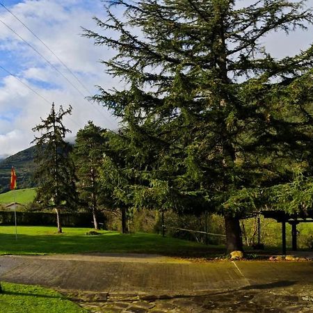 El Nial De Los Pinos Охедо Экстерьер фото